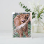 achter mama's staart briefkaart (Staand voorkant)