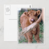 achter mama's staart briefkaart (Voorkant / Achterkant)