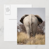 Achter uitzicht van olifant briefkaart (Voorkant / Achterkant)