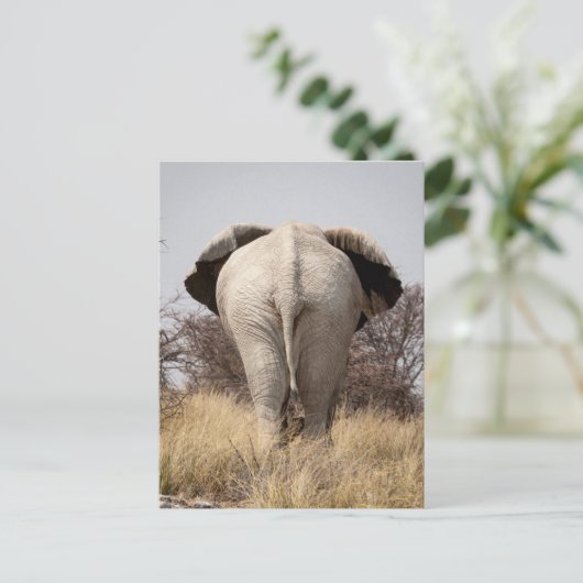 Achter uitzicht van olifant briefkaart (Staand voorkant)