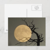 Achter - volle maan achter blote boomcollage briefkaart (Voorkant / Achterkant)