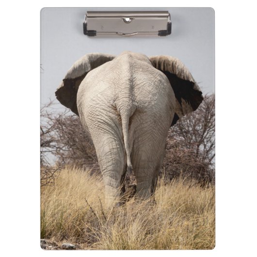 Achteraanzicht van olifant klembord (Voorkant)