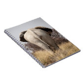 Achteraanzicht van olifant notitieboek (Rechterzijde)