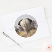 Achteraanzicht van olifant ronde sticker (Envelop)