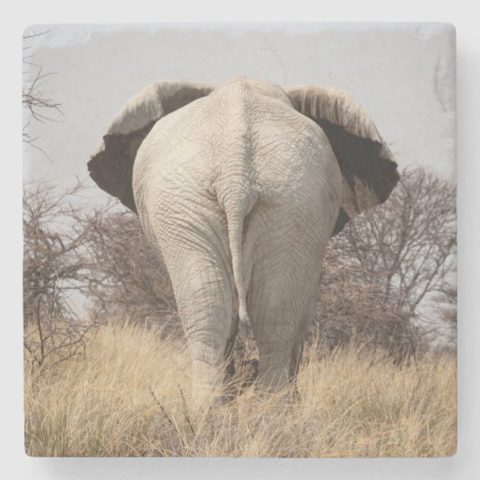 Achteraanzicht van olifant stenen onderzetter (Voorkant)