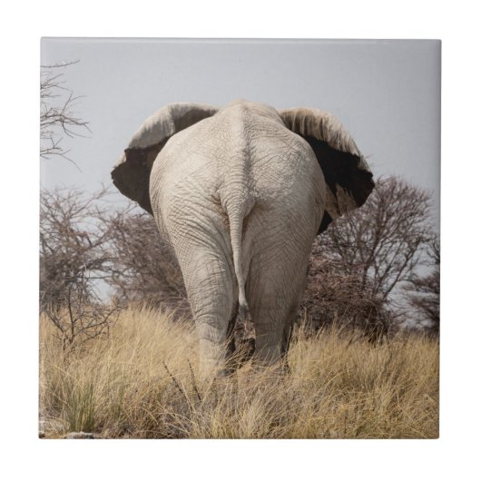 Achteraanzicht van olifant tegeltje (Voorkant)