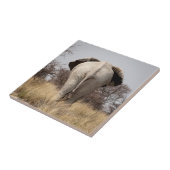 Achteraanzicht van olifant tegeltje (Zijkant)