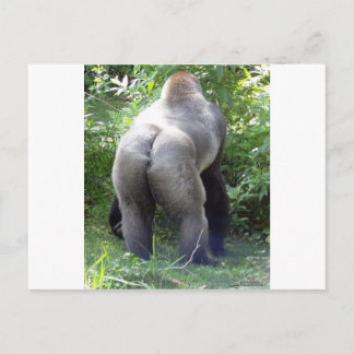 Achtereind van Gorilla Briefkaart