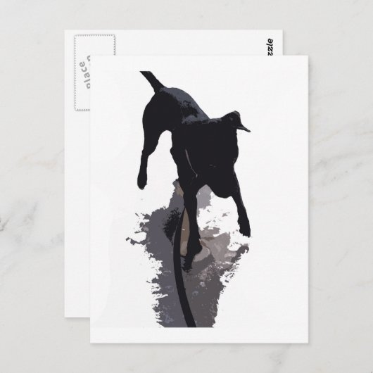 achtergestelde hond en schaduw briefkaart (Voorkant / Achterkant)