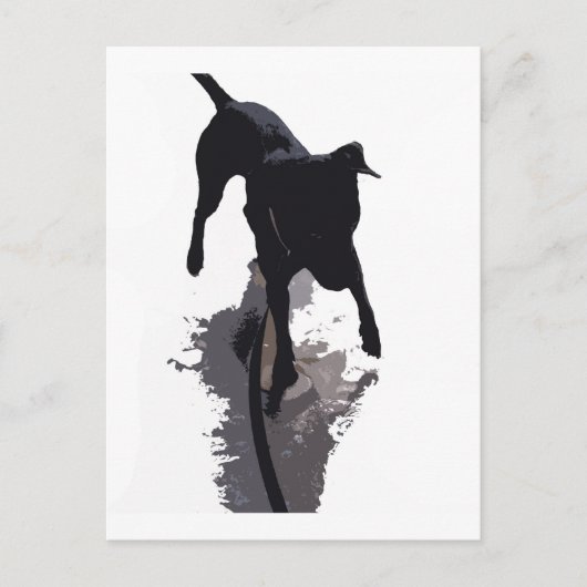 achtergestelde hond en schaduw briefkaart (Voorkant)