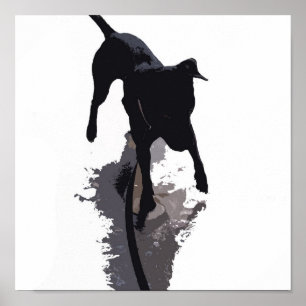achtergestelde hond en schaduw poster