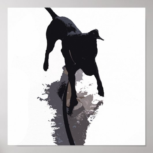 achtergestelde hond en schaduw poster (Voorkant)