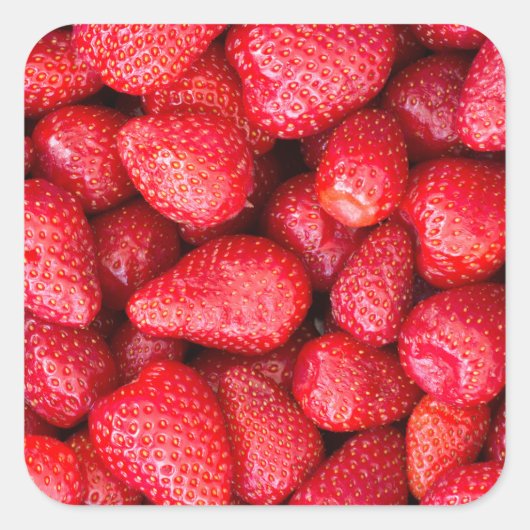 Achtergrond aardbeien vierkante sticker (Voorkant)