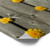 Achtergrond andelions poster (Hoek)
