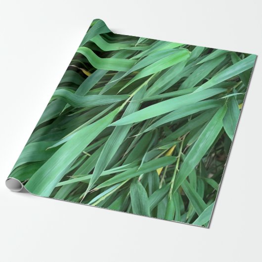 Achtergrond bamboeblad cadeaupapier (Uitgerold)