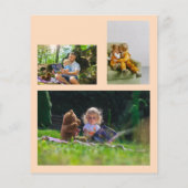 Achtergrond begrafenis begrafenis herdenkingspleie (Achterkant)