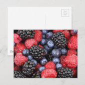 achtergrond bessen briefkaart (Voorkant / Achterkant)