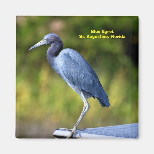 Achtergrond blauwe grot magneet (Voorkant)