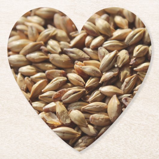 Achtergrond brouwgerstkorrels brouwerij kartonnen onderzetters (Voorkant)