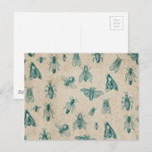 ACHTERGROND Bug Insect Patroonpatroon Briefkaart (Voorkant / Achterkant)