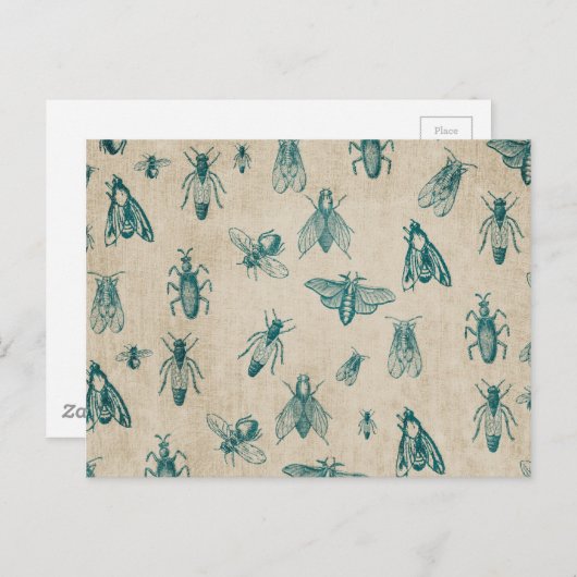 ACHTERGROND Bug Insect Patroonpatroon Briefkaart (Voorkant / Achterkant)