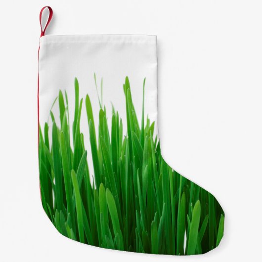 Achtergrond flora vers kleine kerstsok (Voorkant)