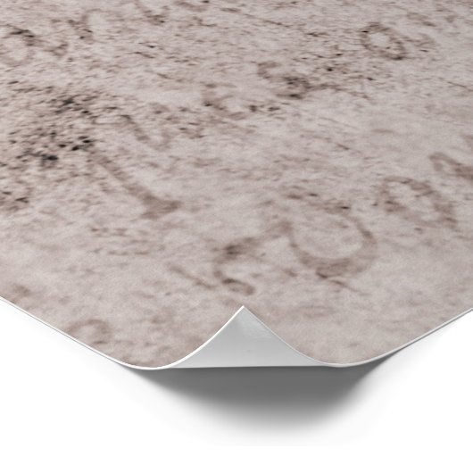 Achtergrond  Frans tekstperkamentpapier Poster (Hoek)