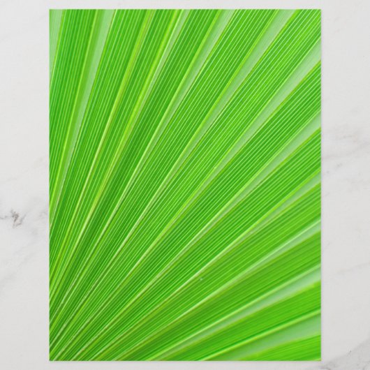 Achtergrond groen palmblad flyer (Voorkant)
