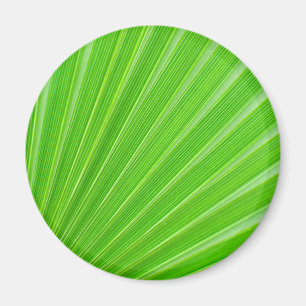 Achtergrond groen palmblad magneet