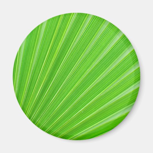 Achtergrond groen palmblad magneet (Voorkant)