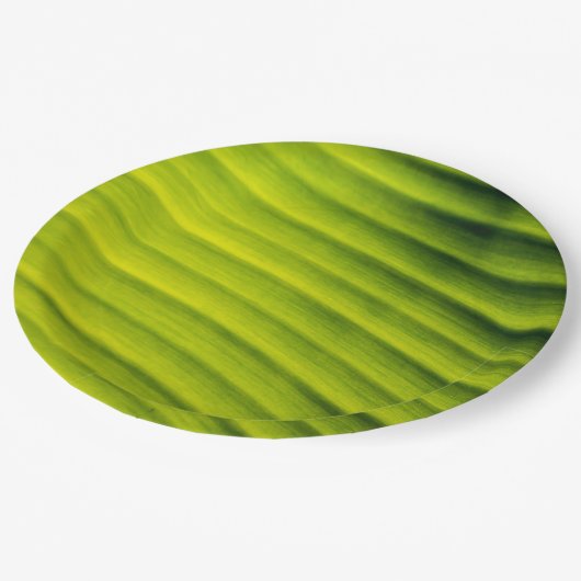 Achtergrond groene bananenblad papieren bordje (Gekanteld)
