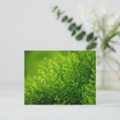 Achtergrond groene bladeren briefkaart (Staand voorkant)