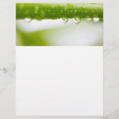 Achtergrond groene bladeren flyer (Voorkant)