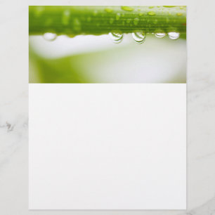 Achtergrond groene bladeren flyer