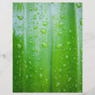 Achtergrond groene bladeren flyer