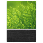 Achtergrond groene bladeren klembord (Achterkant)