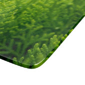 Achtergrond groene bladeren snijplank (Hoek)