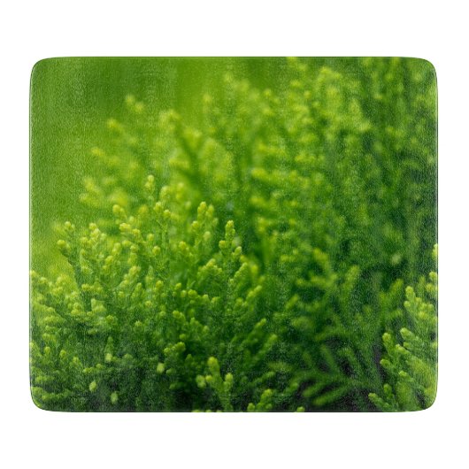 Achtergrond groene bladeren snijplank (Voorkant)