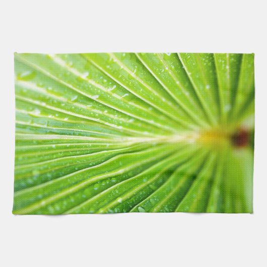 Achtergrond groene bladeren theedoek (Horizontaal)