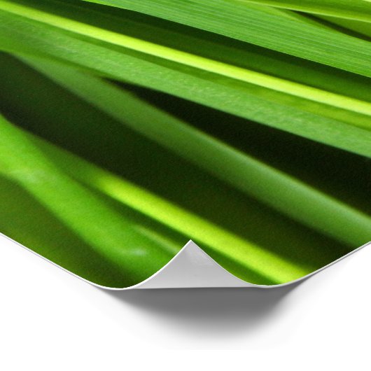 Achtergrond Groene gras Poster (Hoek)