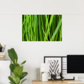 Achtergrond Groene gras Poster (Thuiskantoor)