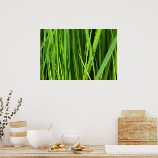 Achtergrond Groene gras Poster (Keuken)