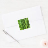 Achtergrond Groene gras Vierkante Sticker (Envelop)