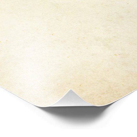 Achtergrond  Ivory Grunge Parchment Paper Foto Afdruk (Hoek)