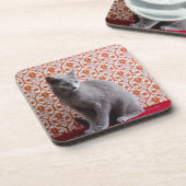 Achtergrond kat (Russisch blauw) en behang Drankjes Onderzetter (Linkerzijde)