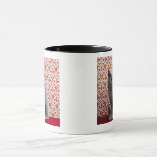 Achtergrond kat (Russisch blauw) en behang Mok (Midden)