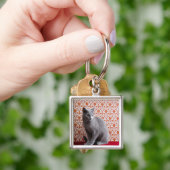 Achtergrond kat (Russisch blauw) en behang Sleutelhanger (Hand)