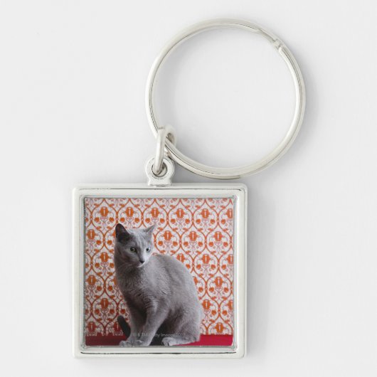 Achtergrond kat (Russisch blauw) en behang Sleutelhanger (Voorkant)