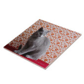 Achtergrond kat (Russisch blauw) en behang Tegeltje (Zijkant)
