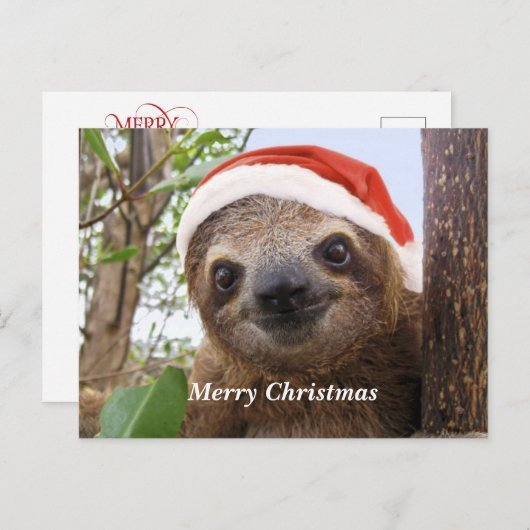 Achtergrond kerstfeestdag feestdagenkaart (Voorkant / Achterkant)